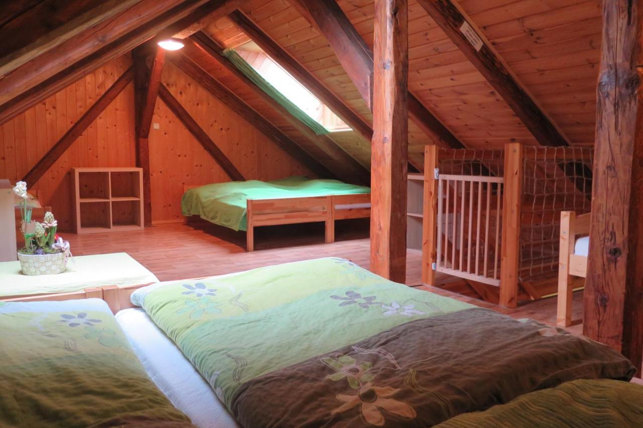 Skiareal U Vodarny Bedrichov Apartment *