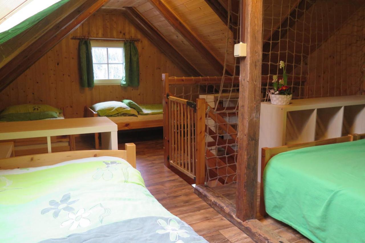 Skiareal U Vodarny Bedrichov Apartment Janov nad Nisou